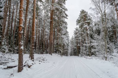 kış kar ve beyaz alanlar ile kırsal manzara