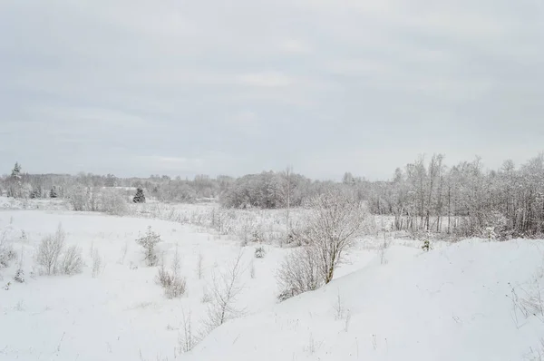 De landelijke scène van de winter met sneeuw en witte velden — Stockfoto