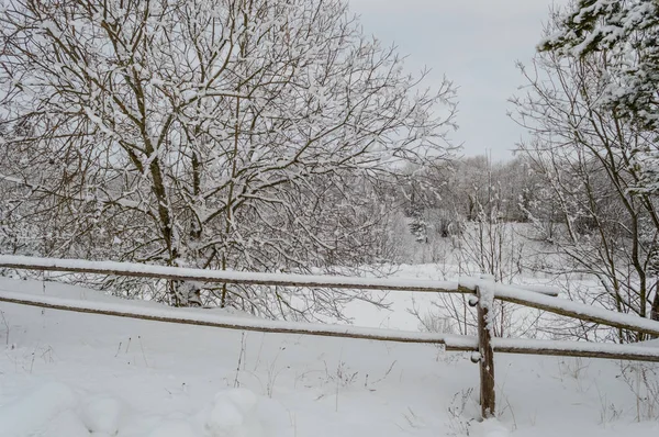 Vinter landsbygdens scen med snö och vita fält — Stockfoto