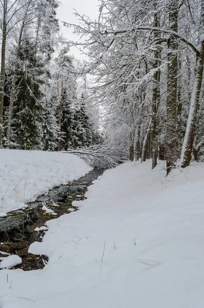 雪とホワイト フィールドを冬の田園風景 — ストック写真