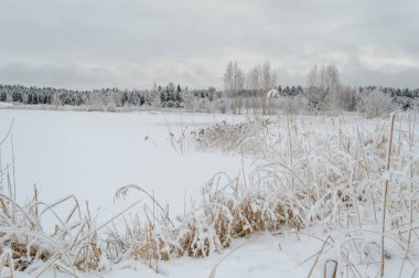 kış kar ve beyaz alanlar ile kırsal manzara