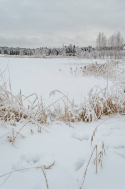 kış kar ve beyaz alanlar ile kırsal manzara