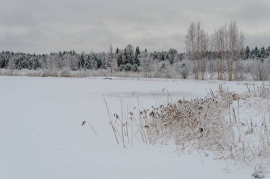 kış kar ve beyaz alanlar ile kırsal manzara