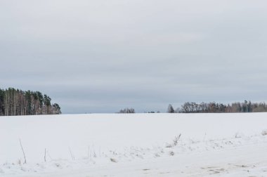 kış kar ve beyaz alanlar ile kırsal manzara