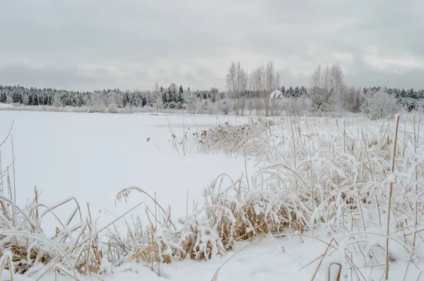 kış kar ve beyaz alanlar ile kırsal manzara