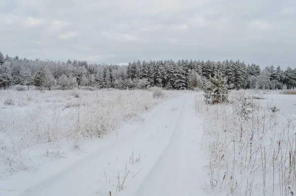 겨울 눈과 화이트 필드와 농촌 현장 — 스톡 사진