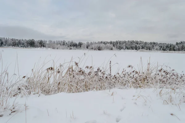 Winter ländliche Szene mit Schnee und weißen Feldern — Stockfoto