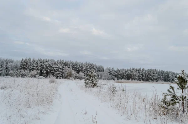 De landelijke scène van de winter met sneeuw en witte velden — Stockfoto