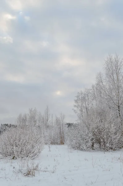 Vinter landsbygdens scen med snö och vita fält — Stockfoto