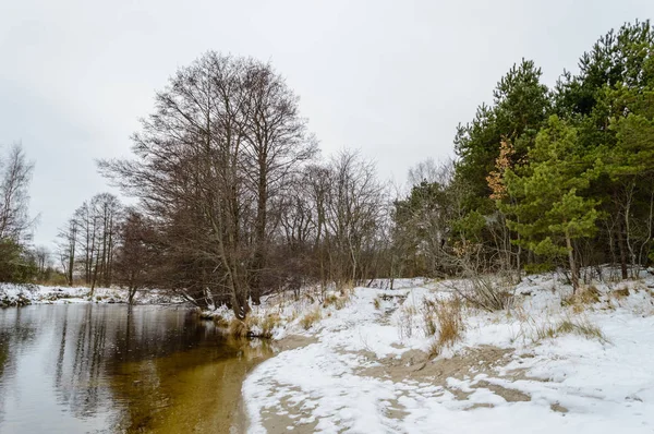 冬季田园风光与白雪和白色田野 — 图库照片