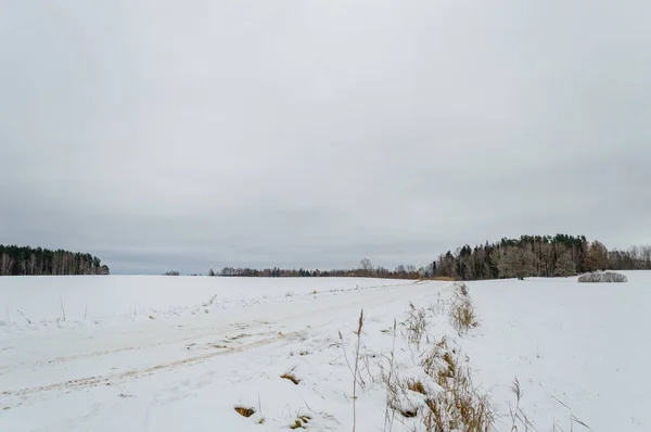 Vinter landsbygdens scen med snö och vita fält — Stockfoto