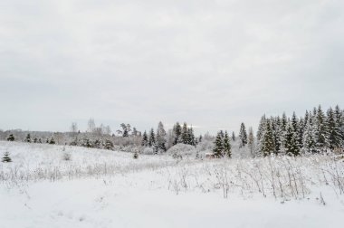 kış kar ve beyaz alanlar ile kırsal manzara