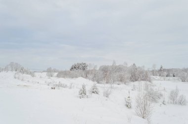 kış kar ve beyaz alanlar ile kırsal manzara