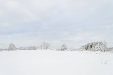 kış kar ve beyaz alanlar ile kırsal manzara