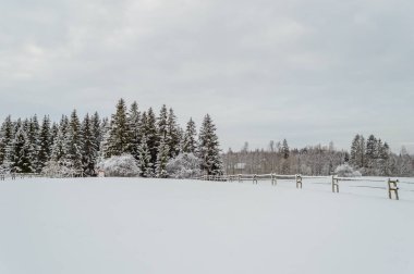 kış kar ve beyaz alanlar ile kırsal manzara