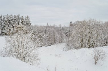 kış kar ve beyaz alanlar ile kırsal manzara