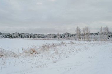 kış kar ve beyaz alanlar ile kırsal manzara