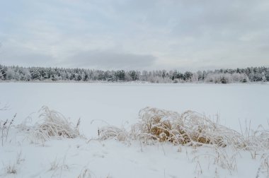 kış kar ve beyaz alanlar ile kırsal manzara