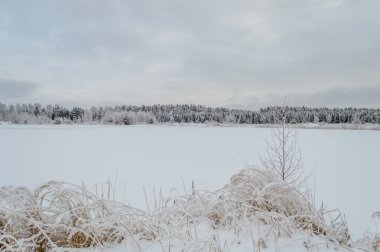 kış kar ve beyaz alanlar ile kırsal manzara