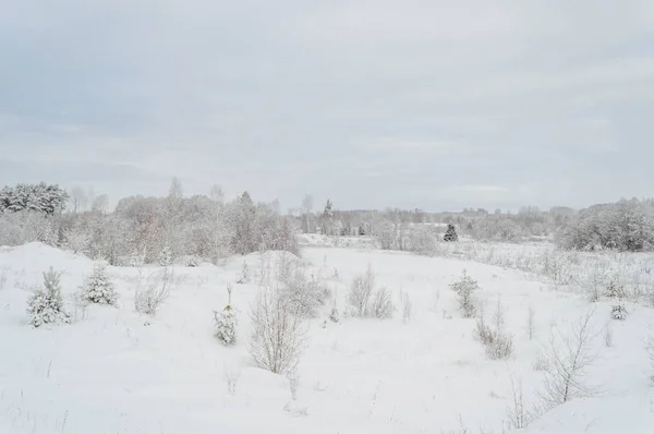 Scenario rurale invernale con neve e campi bianchi — Foto Stock