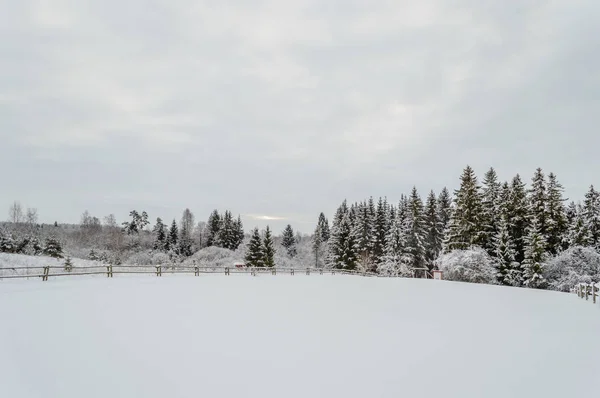 Scenario rurale invernale con neve e campi bianchi — Foto Stock