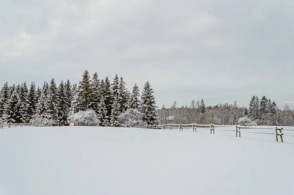 Winter ländliche Szene mit Schnee und weißen Feldern — Stockfoto