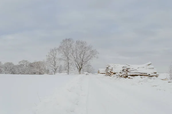 겨울 눈과 화이트 필드와 농촌 현장 — 스톡 사진