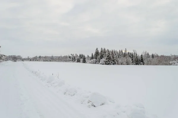 Χειμωνιάτικο σκηνικό αγροτικής με χιόνι και λευκά πεδία — Φωτογραφία Αρχείου