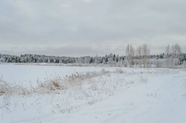 Winter ländliche Szene mit Schnee und weißen Feldern — Stockfoto