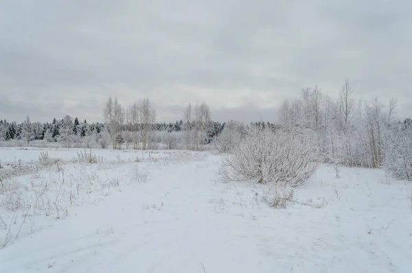 Cena rural de inverno com neve e campos brancos — Fotografia de Stock