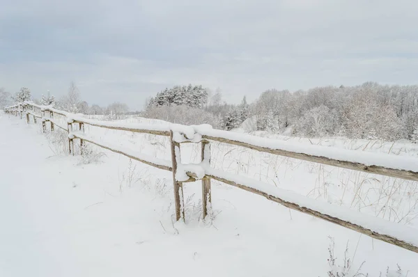 Scenario rurale invernale con neve e campi bianchi — Foto Stock