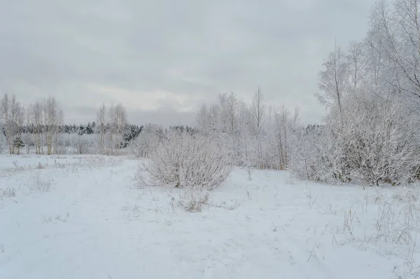 Scenario rurale invernale con neve e campi bianchi — Foto Stock