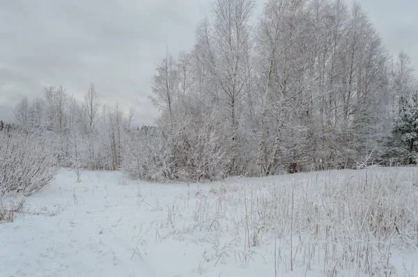 Χειμωνιάτικο σκηνικό αγροτικής με χιόνι και λευκά πεδία — Φωτογραφία Αρχείου