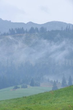dağ başında bulutlar ve sis kaplı Güz