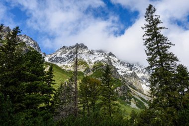 dağ başında sonbaharda bulutlar ve sis kaplı güneşli bir günde