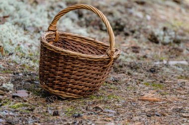 Orman heather önünde ahşap dokuma sepeti