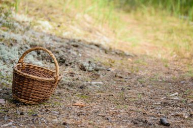 Orman heather önünde ahşap dokuma sepeti