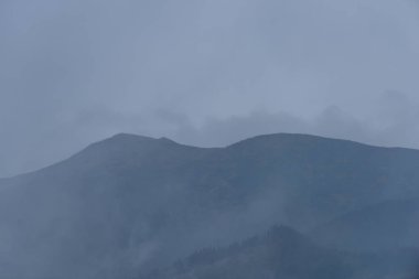Panoramik dağ bölgesinde sisli orman