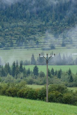 puslu dağ alan elektrik ile ormanda panoramik manzaralı