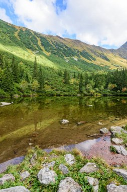 sabah sis göl su yansımalar