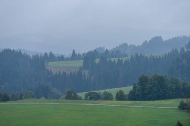 Panoramik dağ bölgesinde sisli orman