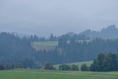 Panoramik dağ bölgesinde sisli orman