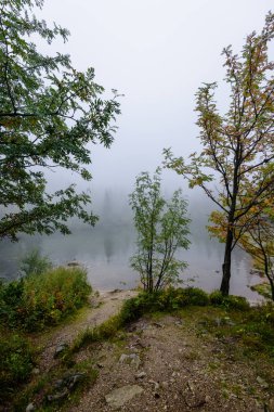sabah sis göl suda ağaçların yansımalar