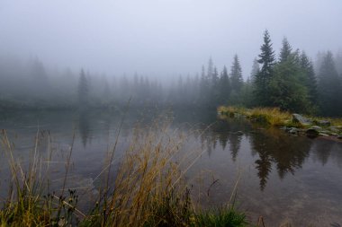 sabah sis göl suda ağaçların yansımalar