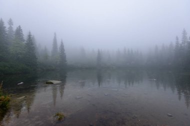 sabah sis göl suda ağaçların yansımalar