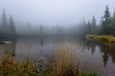 sabah sis göl suda ağaçların yansımalar