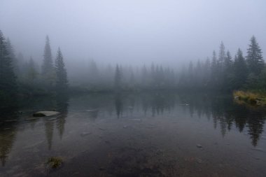 sabah sis göl suda ağaçların yansımalar