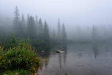 sabah sis göl suda ağaçların yansımalar