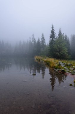 sabah sis göl suda ağaçların yansımalar