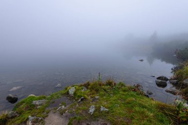 sabah sis göl suda ağaçların yansımalar
